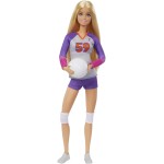 Mattel Barbie Αθλήτρια Βόλει HKT72 194735108046