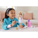 Mattel Barbie Dreamhouse Adventures Doll and Accessories HJY18 