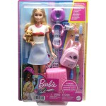 Mattel Barbie Dreamhouse Adventures Doll and Accessories HJY18 