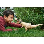 Mattel Jurassic World Hunt N Chomp Tyrannosaurus REX HNT62 