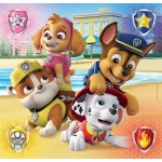 Clementoni Children's Puzzle Super Color Nickelodeon paw Patrol 3x48 pcs 1200-25301 8005125253012