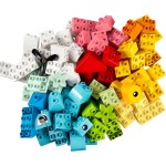 LEGO Heart Box 10909 5702017422015