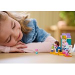 LEGO Gabbys Dollhouse Duplo Crafting With Baby Box 10795 5702017582481