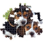 Clementoni 35536 jigsaw collection-close together 500 pieces-poster included, puzzle f 1220-35536 8005125355365