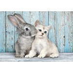 Clementoni Παζλ 500 H.Q. Cat & Bunny - Compact Box 1220-35539 8005125355396
