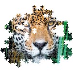 Clementoni 35541 jigsaw collection-jaguar in the jungle 500 pieces-poster included, pu 1220-35541 8005125355419