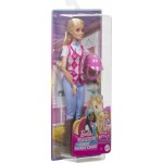 Mattel Barbie Mysteries The Horse Chase Doll HXJ38 194735230969