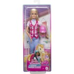 Mattel Barbie Mysteries The Horse Chase Doll HXJ38 194735230969