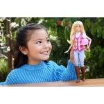 Mattel Barbie Mysteries The Horse Chase Doll HXJ38 194735230969