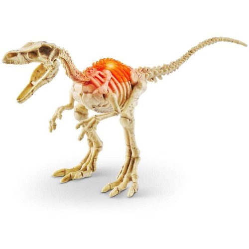 ZURU Αυγό Dino Fossil Mini Robo Alive Series 1 11871115 4894680031821