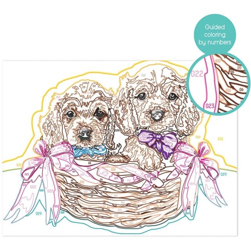 As company Paint & Frame Paint By Numbers Adorable Puppies 1038-41019 5203068410193