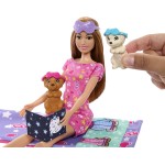 Mattel Barbie Doll & Puppy Slumber Party Playset HXN01 194735234592