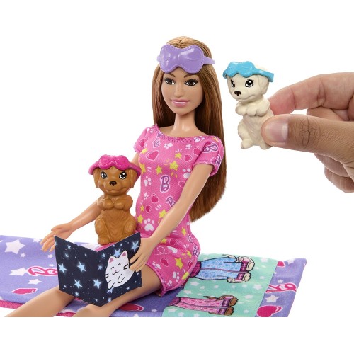 Mattel Barbie Sleepover Με Κουταβάκια HXN01 194735234592