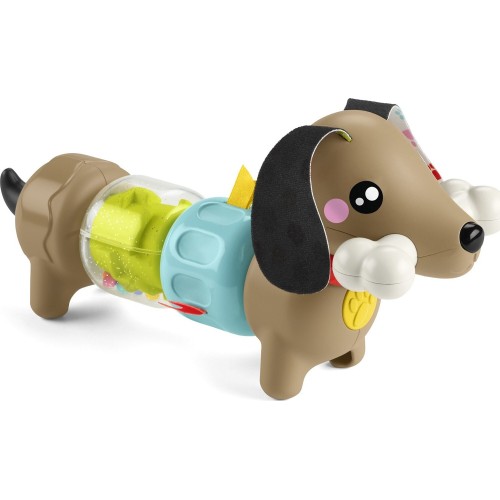 Mattel Fisher-Price FP Pets Click & Spin Σκυλάκι Δραστηριοτήτων Εκπαιδευτικό Παιχνίδι HTW91 194735199181