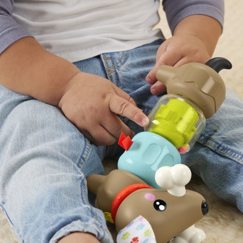 Mattel Fisher-Price FP Pets Click & Spin Activity Pup HTW91 194735199181