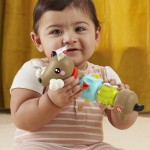 Mattel Fisher-Price FP Pets Click & Spin Activity Pup HTW91 194735199181