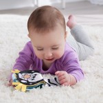 Mattel Fisher-Price 2-In-1 Rockin Tummy Time Otter HXG96 194735229666