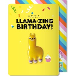 Yolo Magnetic Card – Lama 30104 5055974913134