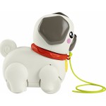 Mattel Fisher-price FP Pets Walk-the-pup Pug HTW94 194735199112