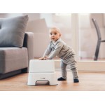 FreeON Double Step Stool, Grey 42332 3830075042332