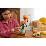 LEGO Icons chrysanthemum 10368 5702017719689