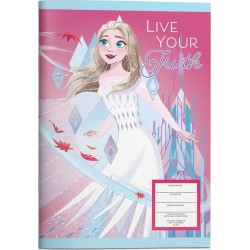 Diakakis imports Disney Frozen Pin Notebook 17X25 Cm. 40 Sheets 000564464 5205698687372