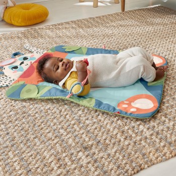 Mattel Fisher-Price Χαλάκι Γυμναστήριο Βρεφικό Και Στρώμα Παιχνιδιού HKD65 194735101542
