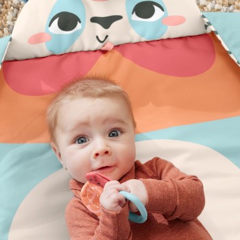 Mattel Fisher-Price Χαλάκι Γυμναστήριο Βρεφικό Και Στρώμα Παιχνιδιού HKD65 194735101542