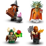 LEGO Dungeons and Dragons Minifigures Dungeons & Dragons Mystery Box 71047 5702017595610