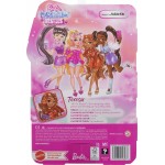 Mattel Barbie Dream Besties Teresa Doll And Accessories HYC23 194735243273