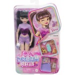 Mattel Barbie Dream Besties Renee Doll And Accessories HYC24 194735243303