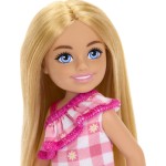 Mattel Barbie Chelsea & Φιλες ®Chelsea Doll Chelsea Κούκλα Καρώ Ροζ Φόρεμα DWJ33 / HXM95 194735234615