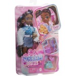 Mattel Barbie Dream Besties Brooklyn Doll And Accessories HYC22 194735243297