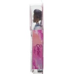 Mattel Barbie Dream Besties Brooklyn Doll And Accessories HYC22 194735243297