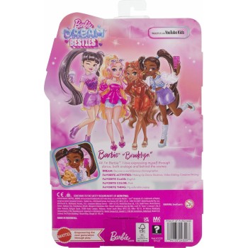 Mattel Barbie Dream Besties Brooklyn Doll And Accessories HYC22 194735243297