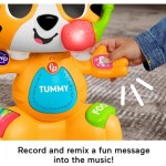 Mattel Fisher-Price Link Squad Bop & Groove Tiger With Music & Lights For Ages 9+ Months HYL08 194735249770