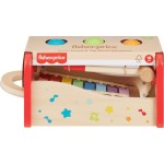Mattel Fisher-Price Ξύλινο Μουσικό Παιχνιδι Ξυλόφωνο Εκπαιδευτικό Παιχνίδι HXT88 194735238439