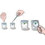 Clementoni Μαθαίνω και Δημιουργώ Lab Εκπαιδευτικό παιχνίδι ο Κήπος Μου για 8+ Χρονών 1026-63408 8005125634088