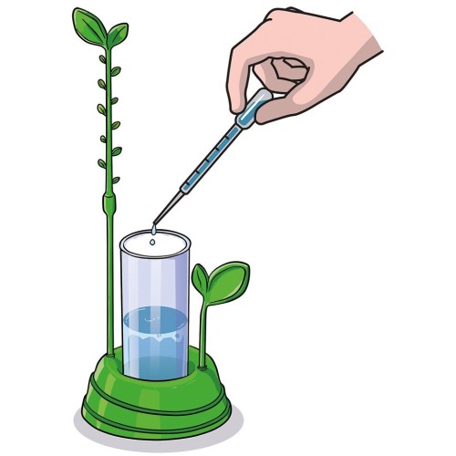 Clementoni Μαθαίνω και Δημιουργώ Learn and Create Lab Educational Game My Garden for 8+ Years 1026-63408 8005125634088