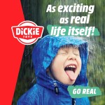 DICKIE TOYS Emergency Vehicle Rescue  Ready-To-Use Model Emergency Service  203716026 038 4006333089114