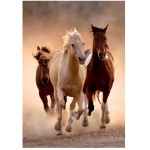 Clementoni Puzzle High Quality Collection Horses 1000 Pcs - Compact Box 1220-39771 8005125397716
