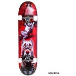 ΑΘΛΟΠΑΙΔΙΑ Complete Skateboard Narrow Simple no2 001.4000 8226889400010