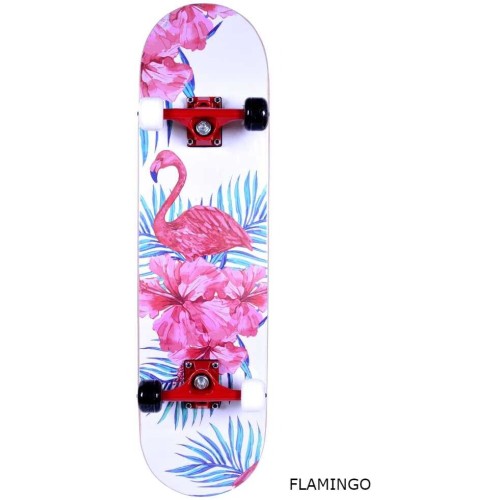ΑΘΛΟΠΑΙΔΙΑ Complete Skateboard Narrow no3 001.4001 8226889400119