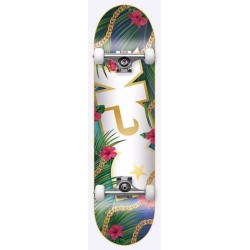 ΑΘΛΟΠΑΙΔΙΑ dgk Vacation Complete Skateboard - Multi Color Colorful, Size 8.25 Inches 011.HC-1081/8.25 9985777002918
