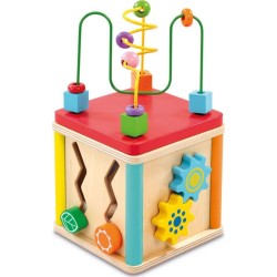 Addo Woodlets Activity Cube 5 in 1 563116 5056289421048