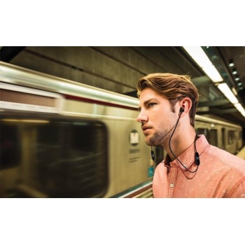 Jbl Tune T110 Wired In-Ear Headphones With Jbl Pure Bass Sound, JBL1002 6925281918926