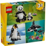 LEGO Creator 3-in-1 wild animals: panda family 31165 5702017822402