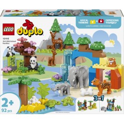 LEGO DUPLO Town 3-In-1 Wild Animal Families 10446 5702017815558