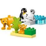 LEGO DUPLO Wild Animal Families: Penguins & Lions 10442 5702017783833