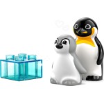 LEGO DUPLO Wild Animal Families: Penguins & Lions 10442 5702017783833